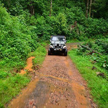 Jeep ile Orman Gezisi